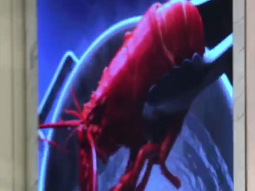 ʏ���˰۰��̳��Ÿ񠖷��P2LEDȫ���@ʾ��