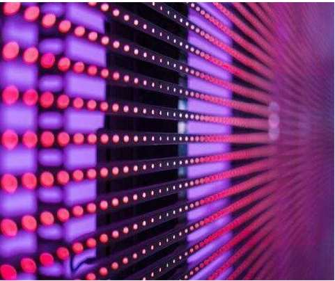 LED�@ʾ������չ�F(xi��n)ʲô���g(sh��)